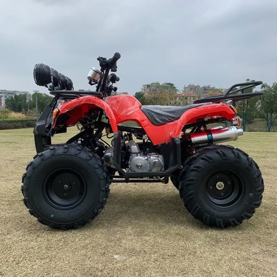 ATV 사륜 구동 비치 부기 4X4 1000cc