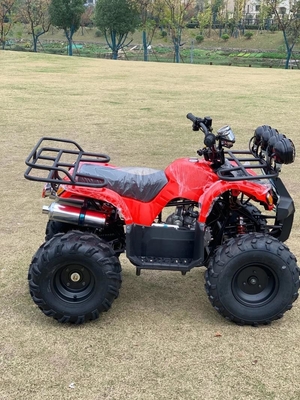 ATV 사륜 구동 비치 부기 4X4 1000cc