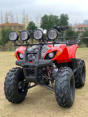 ATV 사륜 구동 비치 부기 4X4 1000cc