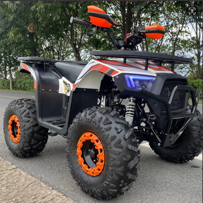 ATV 사륜 구동 비치 부기 4X4 1000cc